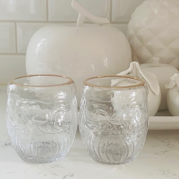 Anthropologie Other - Anthropologie Santa Claus North Pole Juice Glass